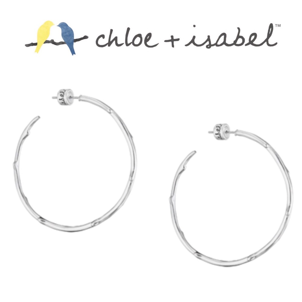 🆕Exclusive💛 Branch Hoops SILVER c+i FE2/E526MESS